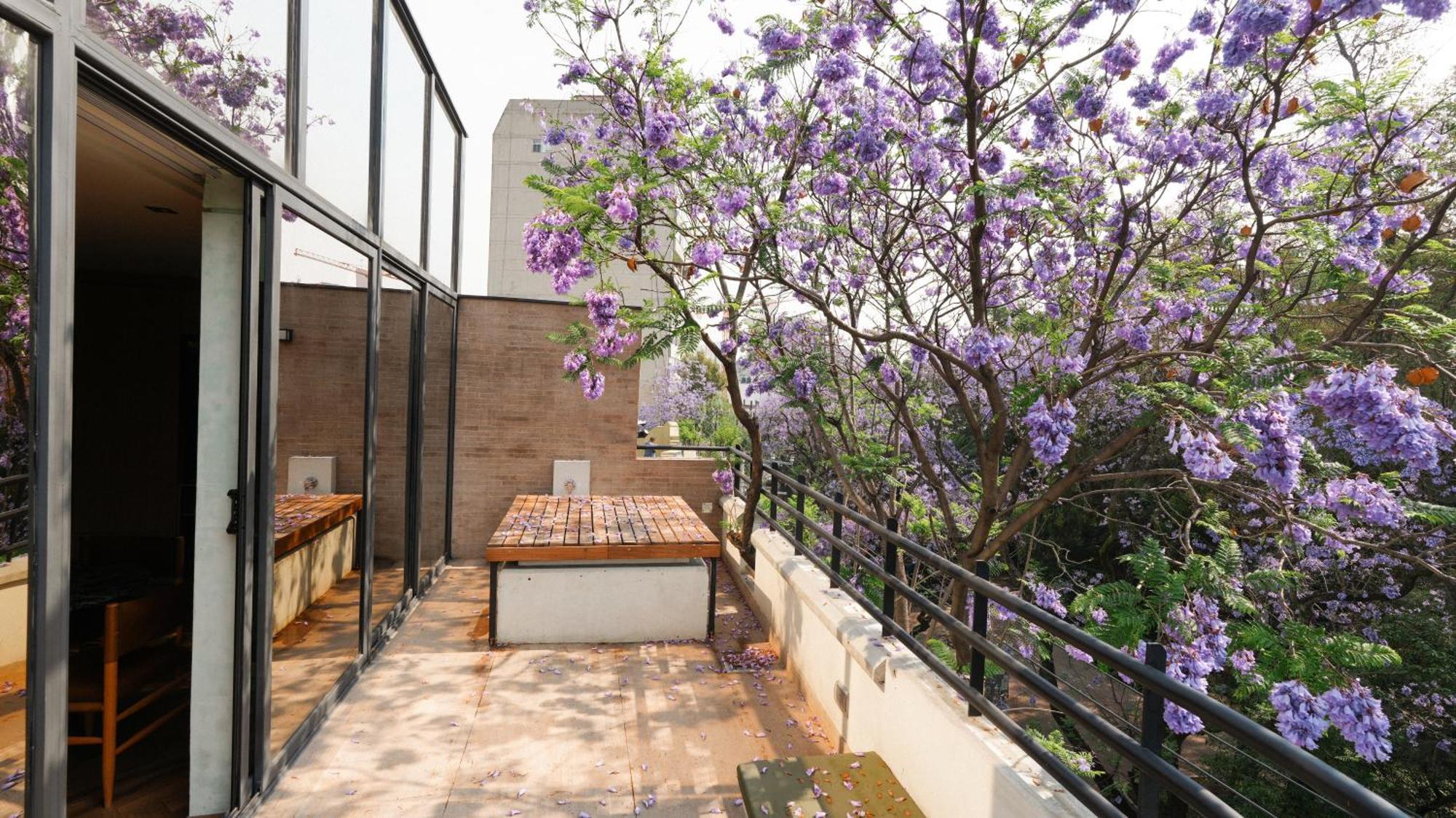 Rodona Hotel Mexico City Exterior photo