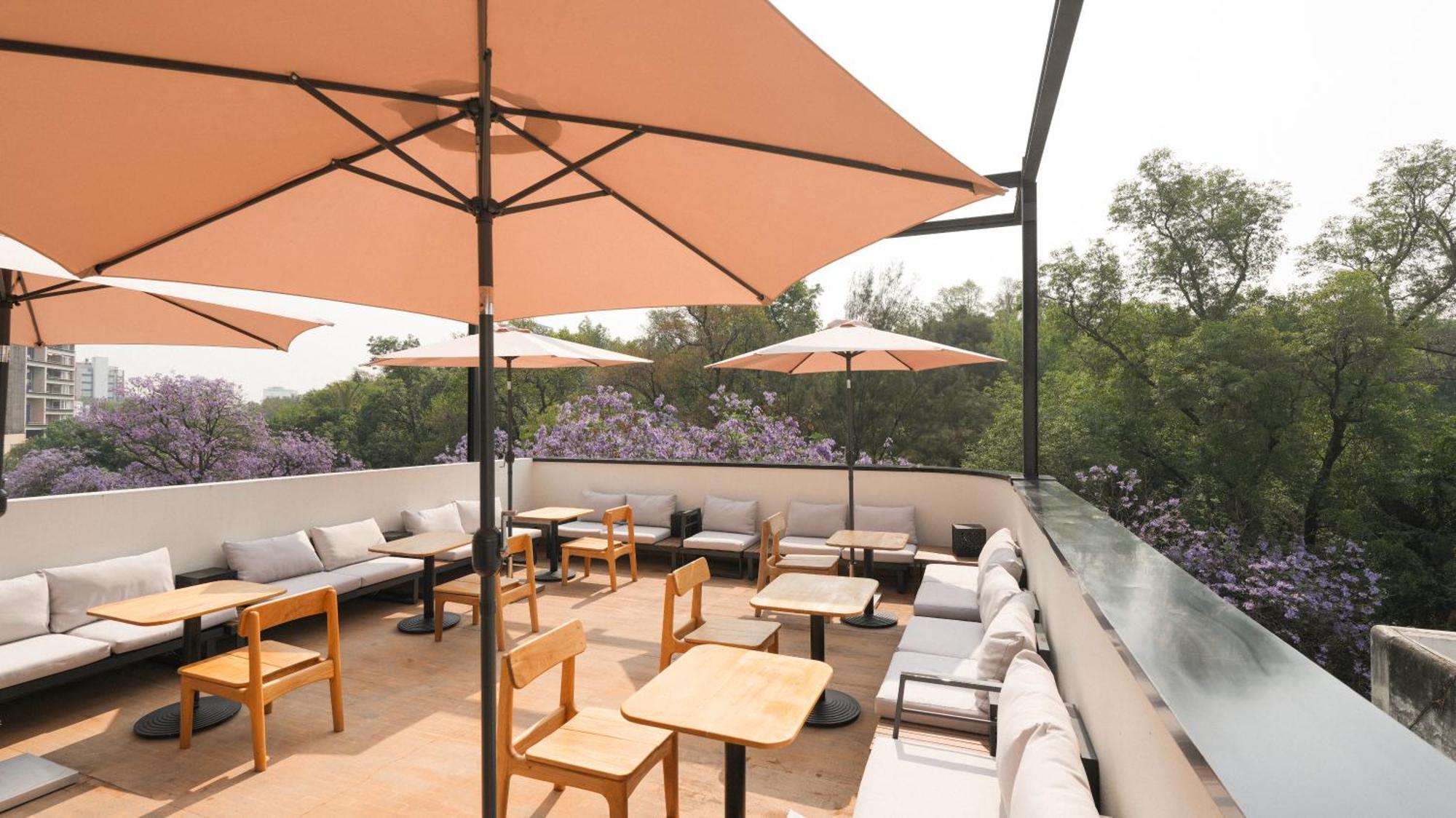 Rodona Hotel Mexico City Exterior photo