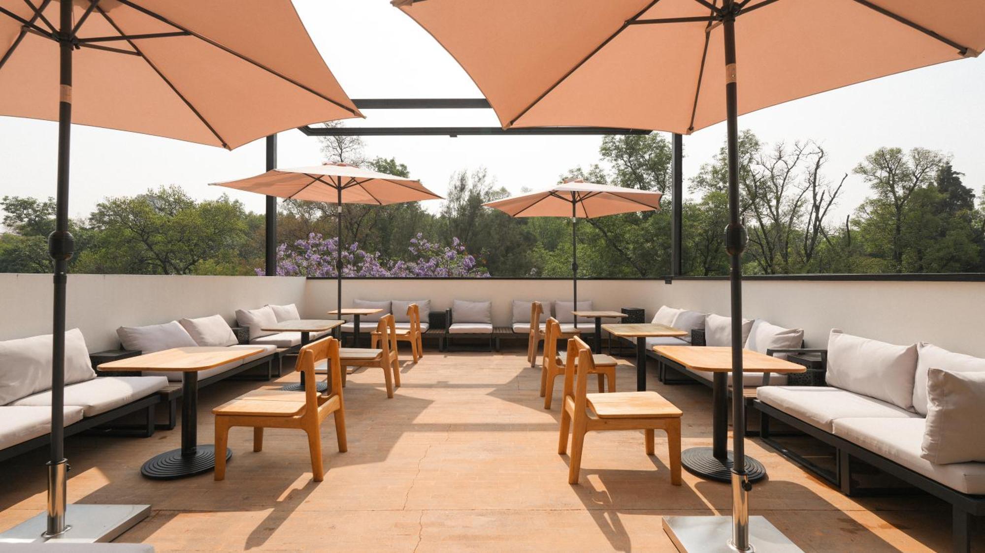 Rodona Hotel Mexico City Exterior photo